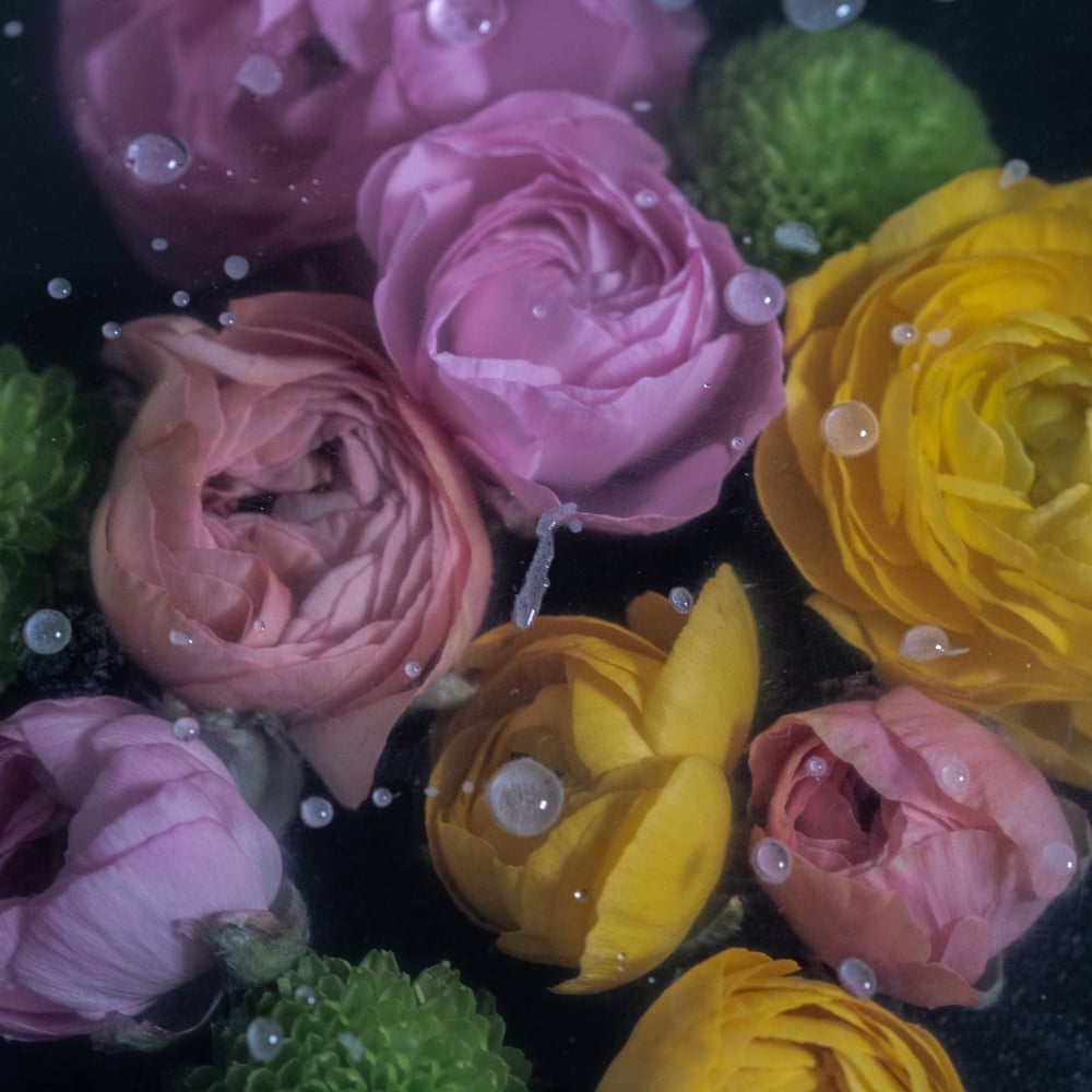 SkyGarden komanda kapu kopšanas darbā